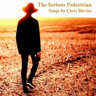 The Serious Pedestrian