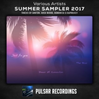 Summer Sampler 2017