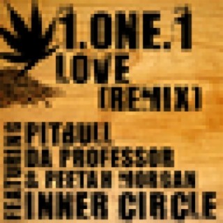 1.One.1 Love Remix (feat. Da Professor, Pitbull & Peetah Morgan) - Single