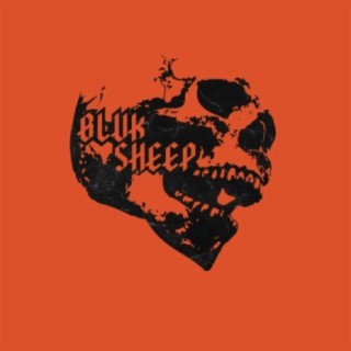 Blvk Sheep