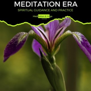 Zen Healing Melodies