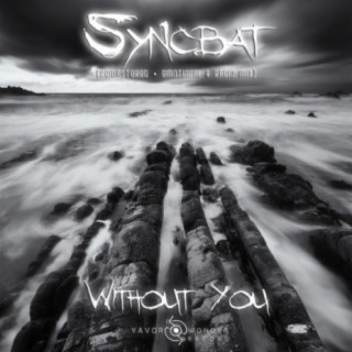 Without You (Remastered & Emotional & Radio Mix)