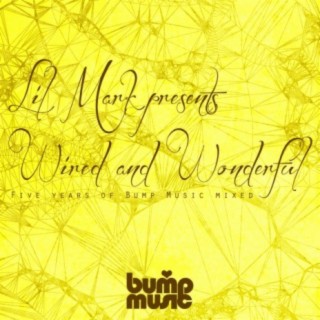 Lil Mark Presents Wired & Wonderful 5 Years of Bump Music