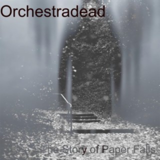 The Story of Paper Falls