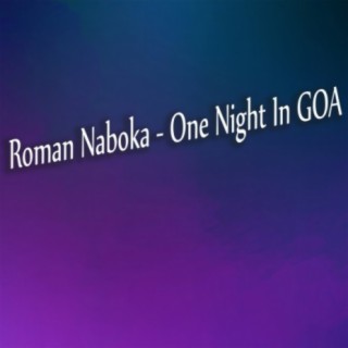 One Night In Goa
