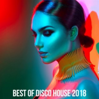 Best Of Disco House 2018