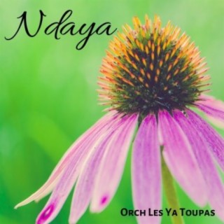Ndaya