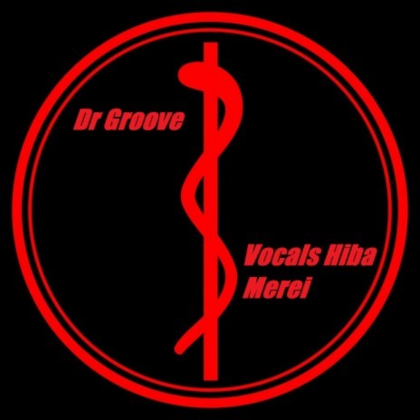 Dr Groove