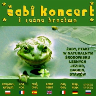 Żabi koncert i leśne bractwo