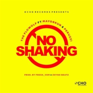 No Shaking