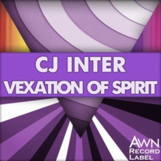 Vexation of Spirit