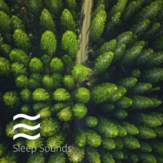 Restful Sleep Sea Waves Sounds for Sleep