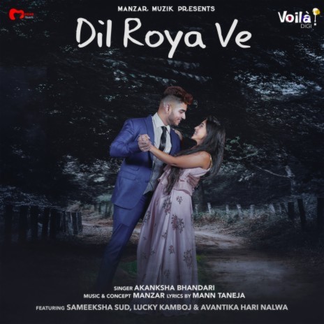 Dil Roya Ve | Boomplay Music