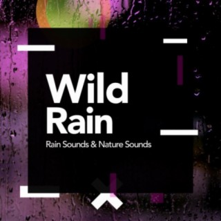 Wild Rain