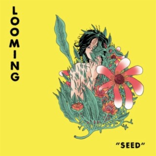 Seed