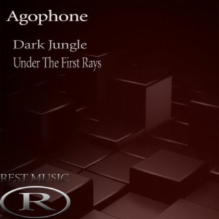 Agophone