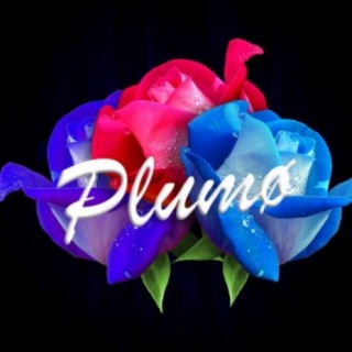 PLUMØ