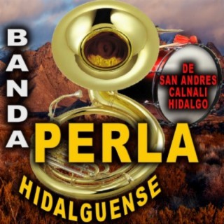 Banda Perla Hidalguense