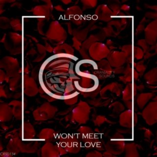 Won't Meet Your Love (Single Love Mix)