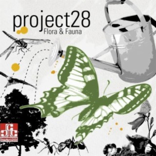 Project28