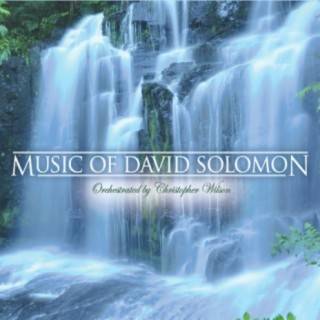 David Solomon