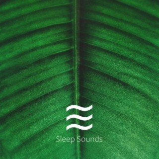 Natural Still Sounding Various Noises for Sleeping