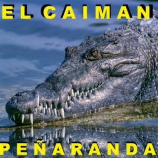 El Caimán