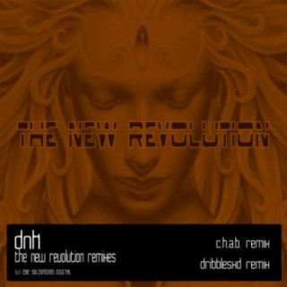 The New Revolution Remixes