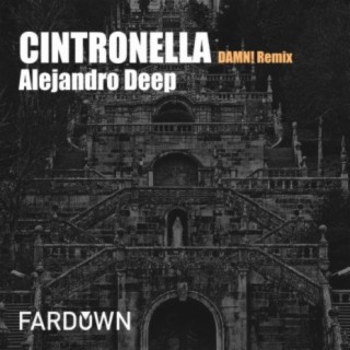 Cintronella (DAMN! Remix)