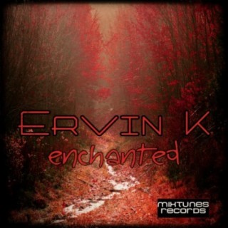 Ervin K