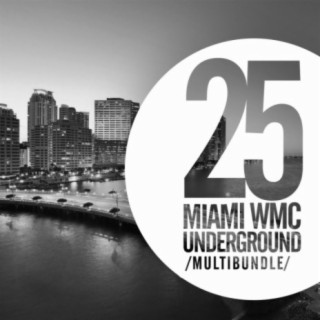 25 Miami WMC Underground Multibundle