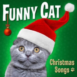 Funny Cat: Christmas Songs