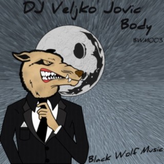DJ Veljko Jovic