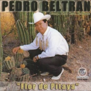 Pedro Beltran