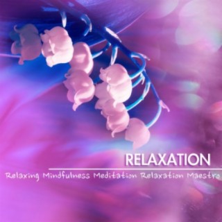 Relaxing Mindfulness Meditation Relaxation Maestro
