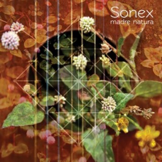 Sonex