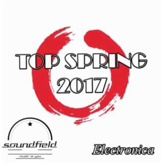Electronica Top Spring 2017