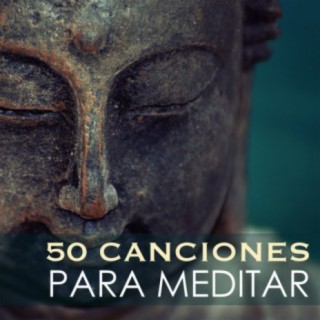 Meditar Profundamente