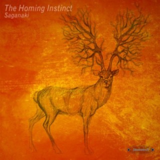 The Homing Instinct