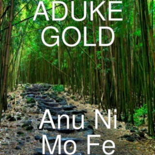 Aduke Gold- Anu ni mo fe