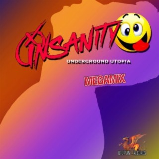 Insanity (Label Artist Megamix)