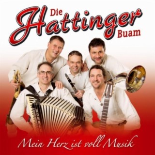 Die Hattinger Buam