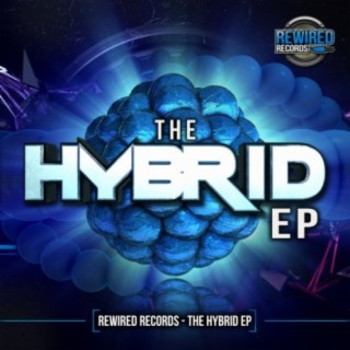 Hybrid EP