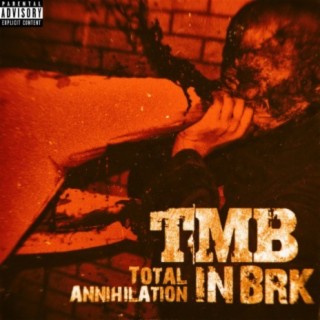 Total Annihilation in BRK (Live)