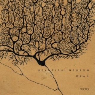 Beautiful Neuron