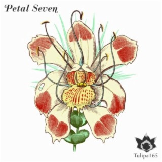 Petal Seven