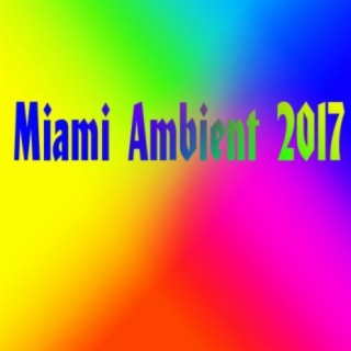 Miami Ambient 2017