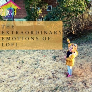The Extraordinary Emotions of Lofi