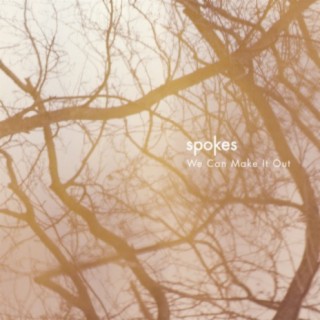 Spokes