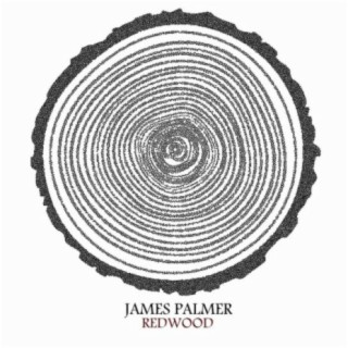 James Palmer